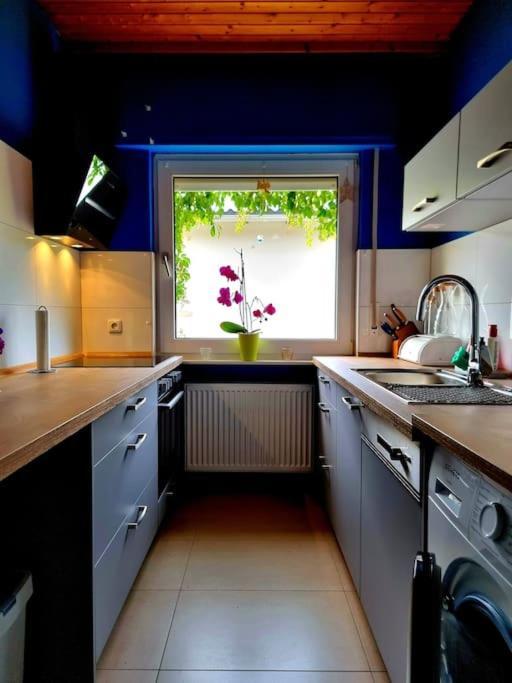 Eine Oase Bei Tara In Waldacker Apartment Roedermark Luaran gambar